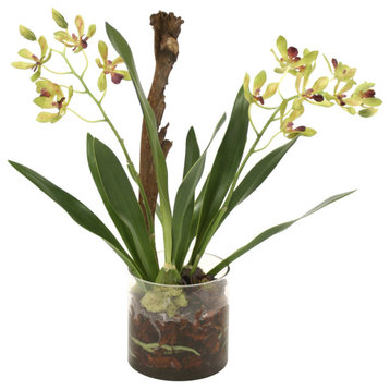 Waterlook® Amethyst Green Vanda Orchid with Plant in Glass Cylinder
