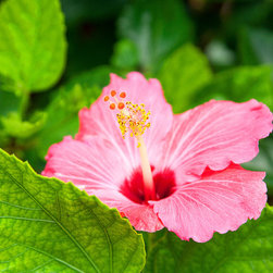 New Stock Photography - Products