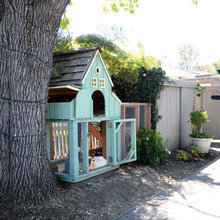 Chicken Coop