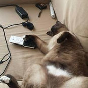 Justine Pignier's photo