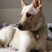 Diane Humann's photo