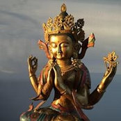 Denise DiPaola's photo