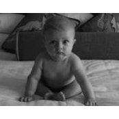 Gabriel Becher's photo