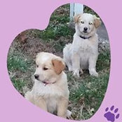 Carla Stricklin's photo