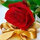 webuser_47587