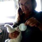 Catena Cate's photo