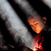 Leah Harrison's photo