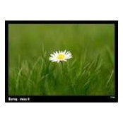 Anne Farrell's photo