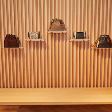Custom Shoe & Handbag Closet