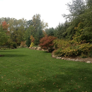 Lush Landscapes