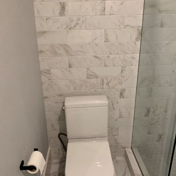 Alamo Heights Guest Bath