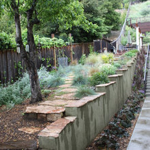 Landscape Ideas