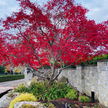 FALL is for COLOR