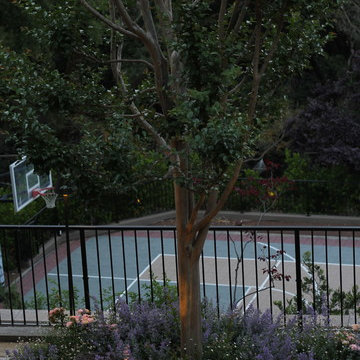 Lafeyette Ca. award Winning Landscape Lighting