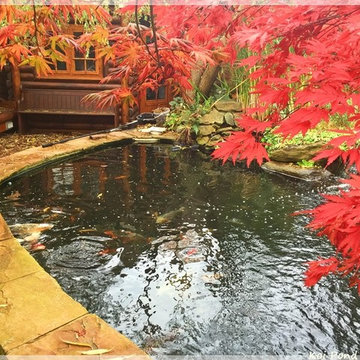 Pond and Water Features