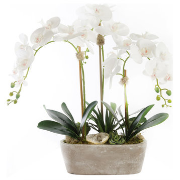White Orchids with Geodes & Succulents In Stone Planter