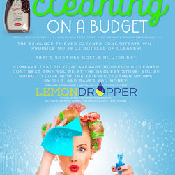 Cleaning with Essential Oil - Household Cleaning Products