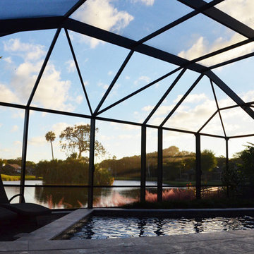 Sun Through Sawgrass