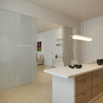 Interior Sliding Glass Door