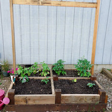 Carré potager