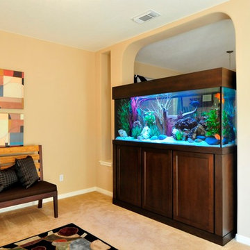 Freestanding Aquariums