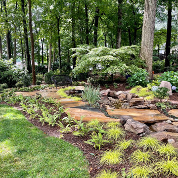 Wider view of pond