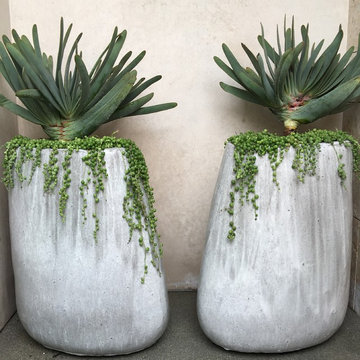 Crest Custom Planters