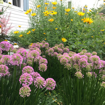 Urban Oasis, Portland, Me