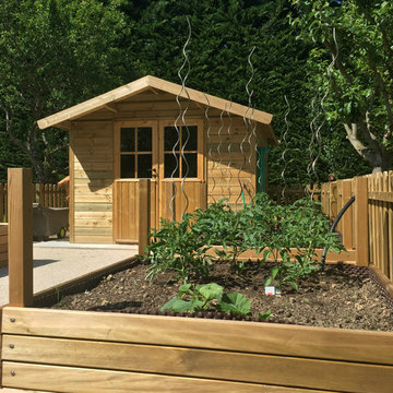 Plantes du potager
