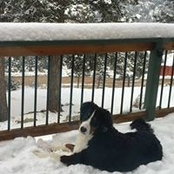 Elaine Kral's photo