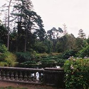 Foto von April Tomsitz McHugh