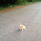 Martha Montgomery's photo