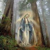 Sandra Fakhry's photo