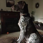 Beckey VanEtten's photo