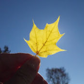 Laura Soucy's photo