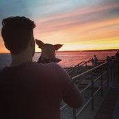 Jonathan Loiacono's photo