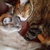 Pamela Marcus's photo