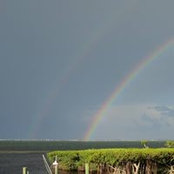Elizabeth Sterling's photo