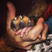 Andrew Chernoff's photo