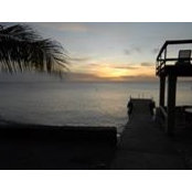 Dave Johnson's photo