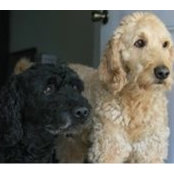 Mark Miller's photo