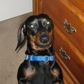 Erica Baker's photo