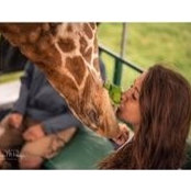 Ellyn Caroline's photo