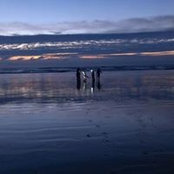 Jessica Eklund's photo