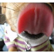 David Wangさんの写真