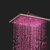 16" Color Changing LED Shower Head in Brushed Nickel Finish