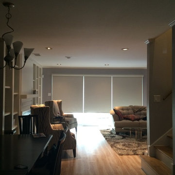 MANUAL BLACKOUT SHADES