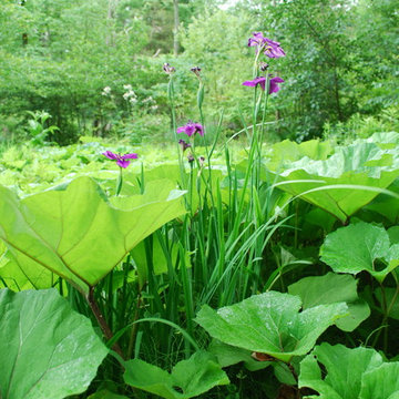 James Golden's Garden at Federal Twist