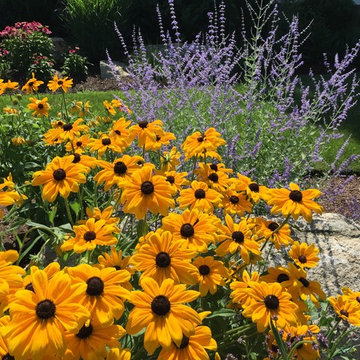 Beach Garden, Saugatuck Shores, Westport