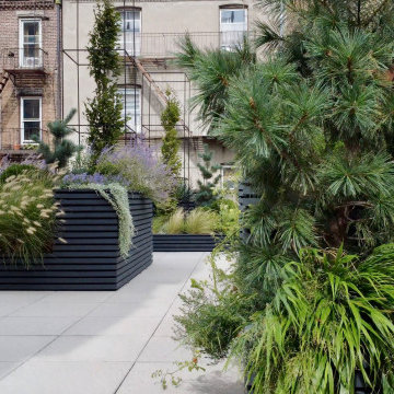 Carroll Gardens Rooftop Terrace